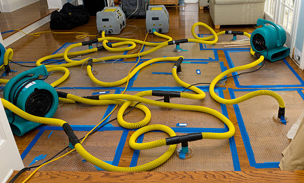 Professional Crawl Space Water Removal technician working in Pinedale, WY